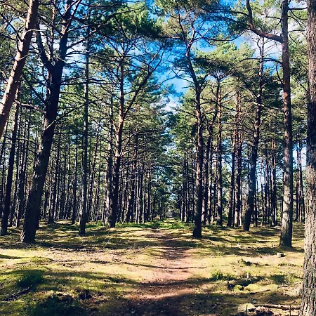 Piekny Z Duzym Ogrodem * 코팔리노