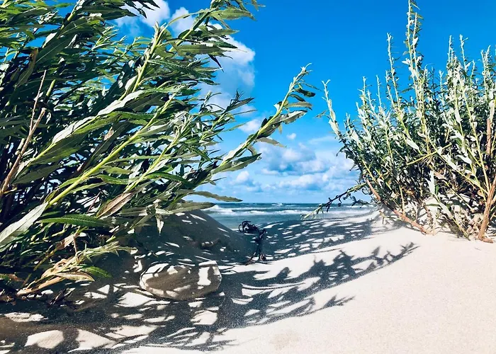 Dom wakacyjny Piękny Z Dużym Ogrodem
