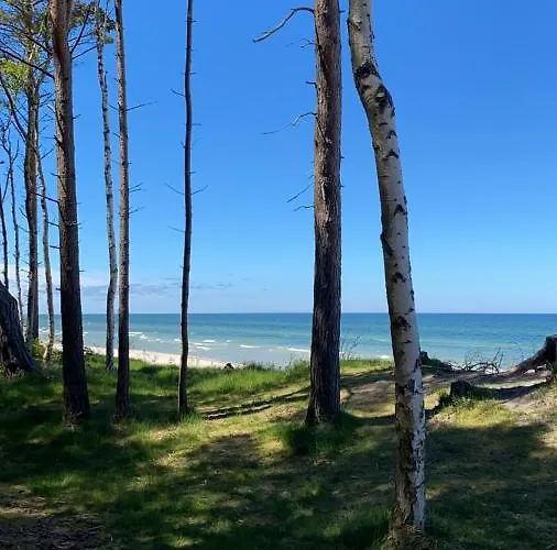 Piękny Z Dużym Ogrodem *