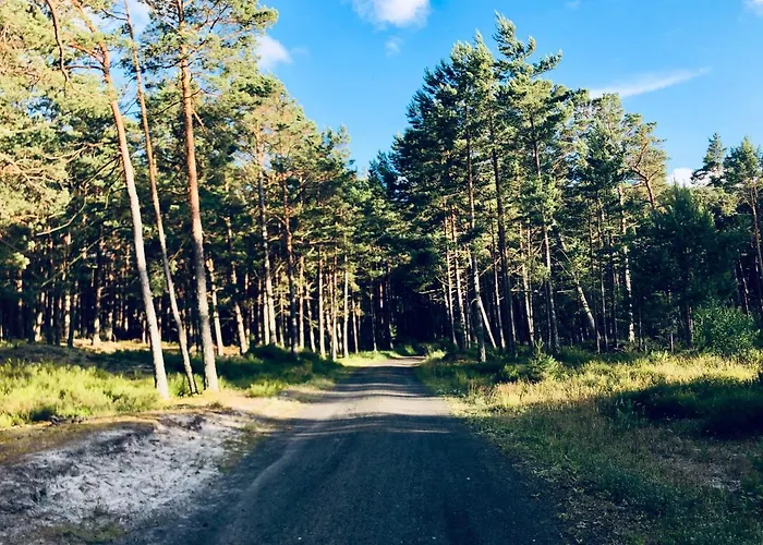 Dom wakacyjny Piękny Z Dużym Ogrodem *