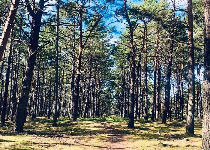 Piękny Z Dużym Ogrodem * Kopalino