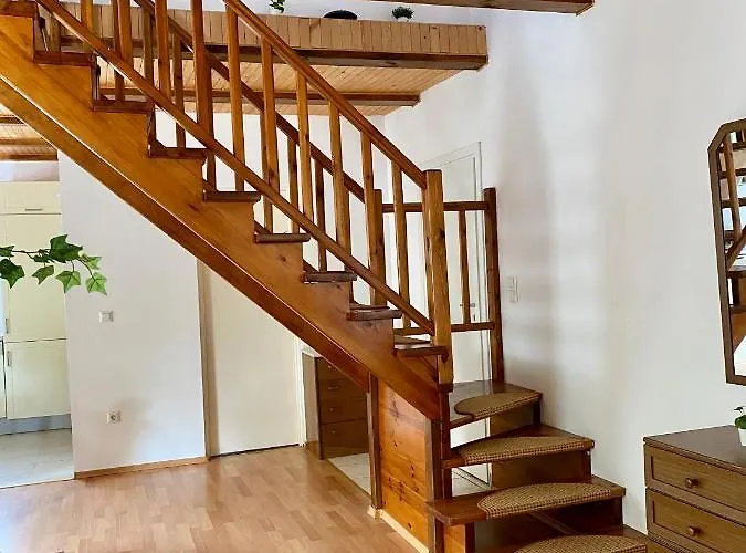 Piękny Z Dużym Ogrodem Kopalino